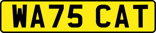 WA75CAT