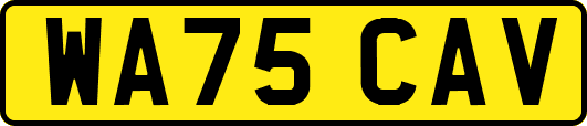 WA75CAV