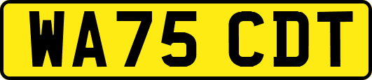 WA75CDT