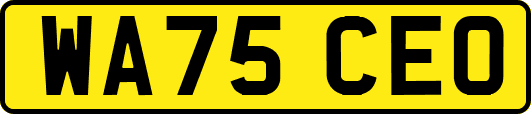 WA75CEO
