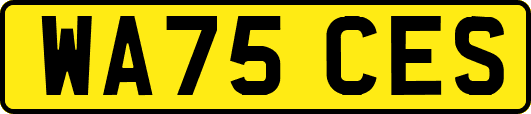 WA75CES