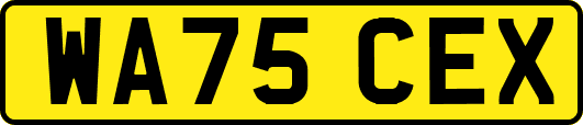 WA75CEX