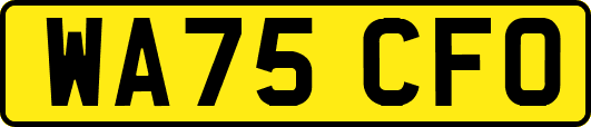 WA75CFO