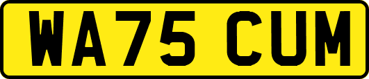 WA75CUM