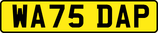 WA75DAP