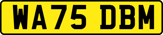 WA75DBM