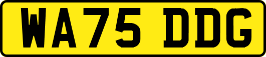 WA75DDG