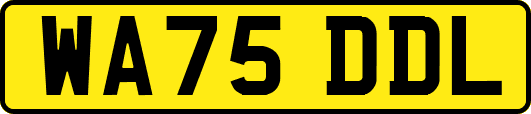 WA75DDL