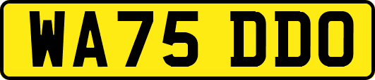 WA75DDO