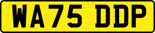 WA75DDP