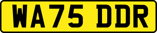 WA75DDR