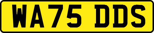 WA75DDS