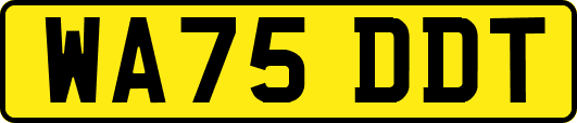 WA75DDT