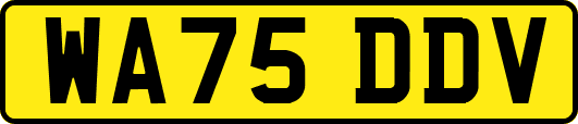 WA75DDV