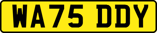 WA75DDY