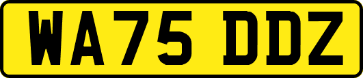 WA75DDZ
