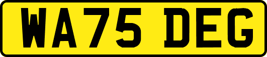 WA75DEG