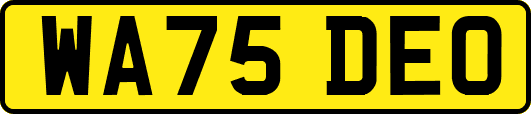 WA75DEO