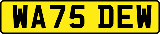 WA75DEW