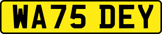 WA75DEY