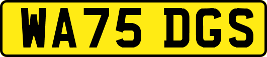 WA75DGS