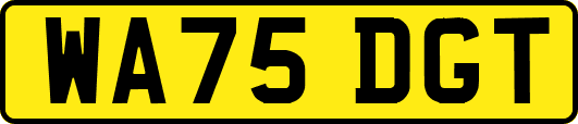 WA75DGT