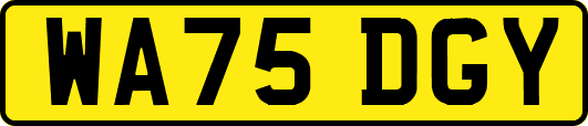 WA75DGY