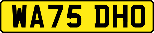 WA75DHO