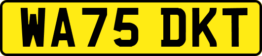 WA75DKT