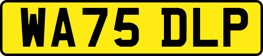 WA75DLP