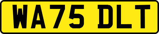 WA75DLT