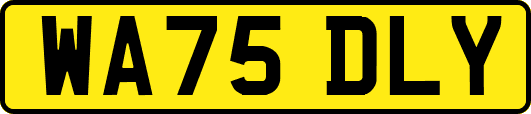 WA75DLY