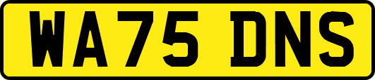 WA75DNS