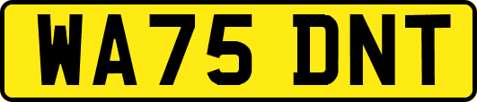 WA75DNT