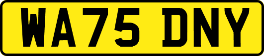 WA75DNY