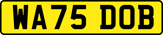WA75DOB