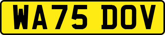 WA75DOV