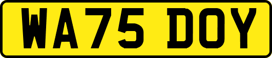 WA75DOY