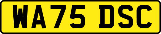 WA75DSC