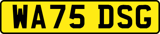 WA75DSG