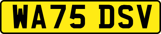 WA75DSV