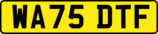 WA75DTF