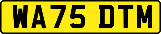 WA75DTM