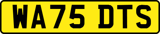 WA75DTS