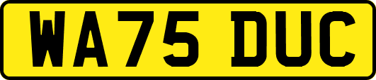 WA75DUC
