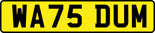 WA75DUM