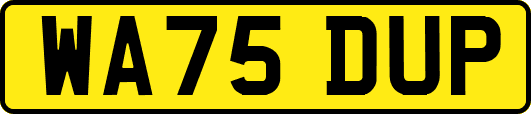 WA75DUP