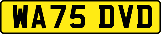 WA75DVD