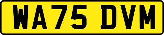 WA75DVM