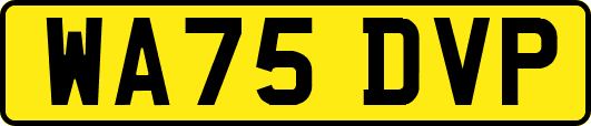 WA75DVP